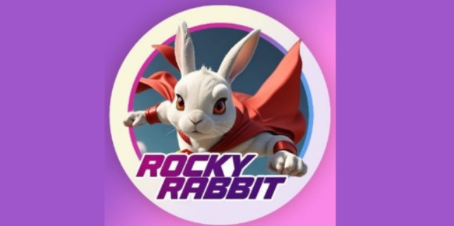 Rocky Rabbit Daily Combo